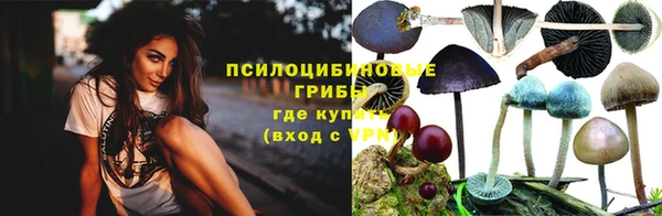 ПСИЛОЦИБИНОВЫЕ ГРИБЫ Алексеевка