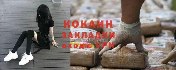 хмурый Осинники