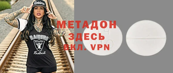индика Алексин