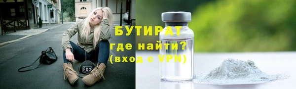 индика Алексин