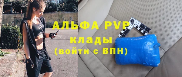 индика Алексин