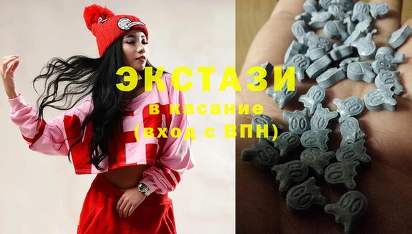 индика Алексин