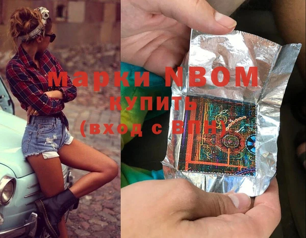 индика Алексин